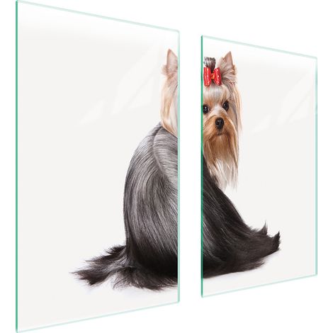 GLASSCHUTZPLATTE FÜR HERD 75x52 HUND (1/5)