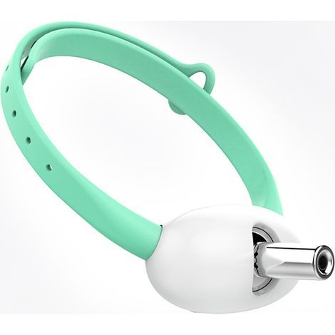 Collier Laser interactif pour Chat, Deux Modes d'éclairage, Angle réglable, Rechargeable, Jouet d'intérieur (1/3)