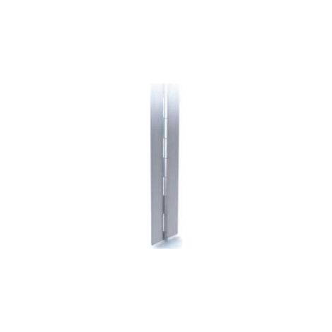 charnière piano inox 316 (au mètre) - largeur: 60