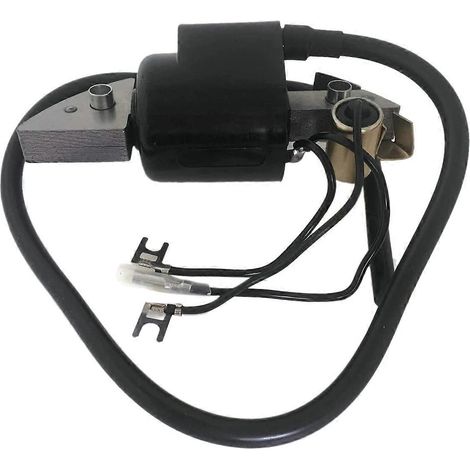 Bobine d'allumage pour moto compatible avec Honda G150 G200 G300 G400 30500-887-303 30560-883-015 (1/5)