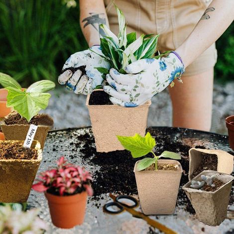 Torftöpfe für Setzlinge mit Etiketten, Papiertöpfe für Blumen- und Gemüsegärtnereien, biologisch abbaubare Gartentöpfe (1/5)