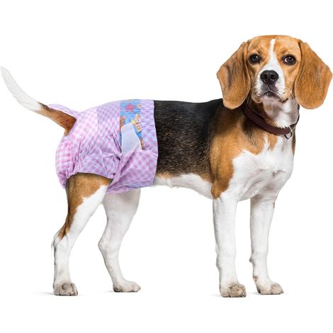 Lot de 20 Couches jetables pour chiennes Femelles, pour Incontinence, pour Petit Chien, Taille S : 25 à 40 cm (1/5)