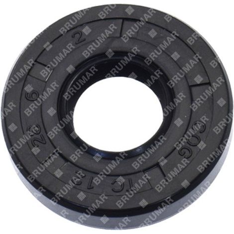 Paraolio motoseghe PROGREEN - 054132