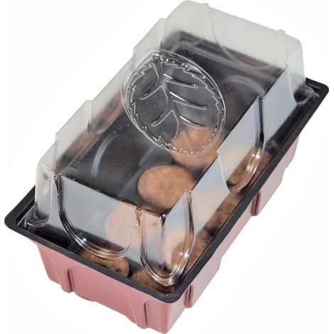 Serre avec 8 pastilles 19 x 11 x 11 cm (1/5)