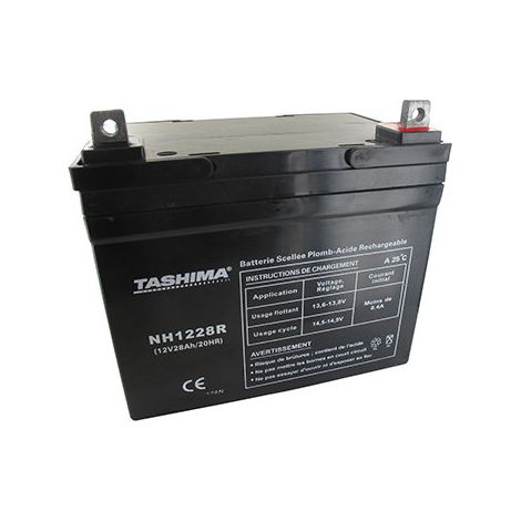 Batería Tashima AGM 100% impermeable 12V, 28A para tractor. Largo: 195, Ancho: 130, Alto: 180, + a la derecha. - Batería para poner en ácido Ava