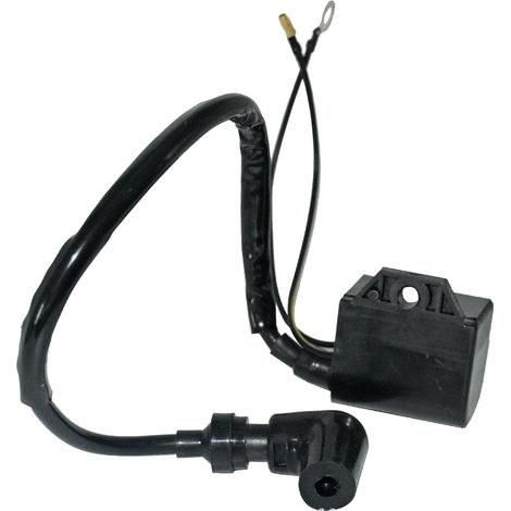 Bobine d'allumage 697-85570-00 pour moteur hors-bord YAMAHA 2T (1/5)