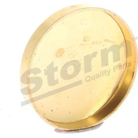 Bouchon de dilatation, pastille de sablage Ø intérieur 45 mm (1/5)