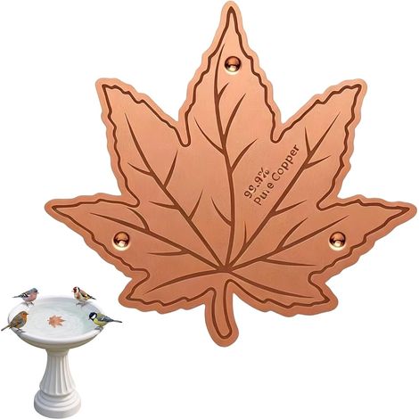 Disque de Nettoyage en Cuivre Pur pour Bain d'Oiseaux, Purificateur d'Eau Naturel Forme Feuille d'Érable, Accessoire pour Abreuvoir Oiseaux Extérieur, Fontaine et Bols de Jardin (1/5)