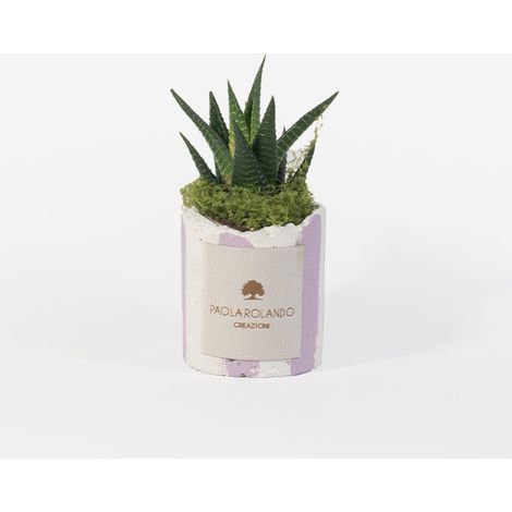 Plante grasse en pot décoratif en ciment Millerighe - Lilas