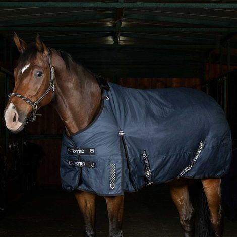145 CM, Blu: Coperta per cavalli da paddock modello Nevada 250 g RipStop 600 D