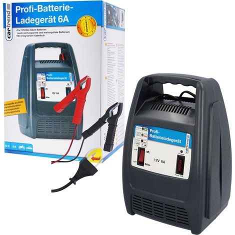 Batterie-Ladegerät Profi 6A 12V (1/4)