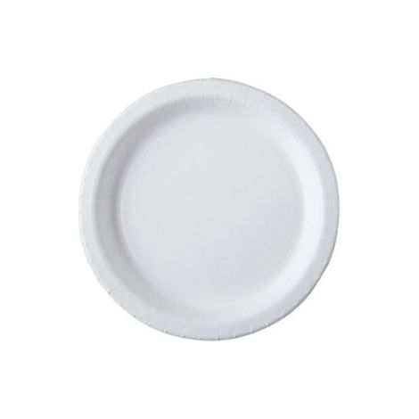 100 assiettes en carton rondes, 26 cm, biodégradables sans pelliculage, pour événements et buvettes