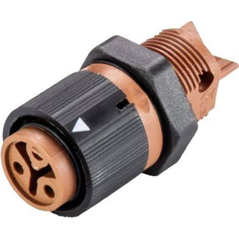 Wieland Electric 46.031.5051.4 Rundstecker Buchse, Einbau Gesamtpolzahl: 2 Serie (Rundsteckverbinder