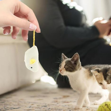 Catnip Filled Plush Mouse Cat Toy Interactive Play Design Relieve Cats Boredom At Home