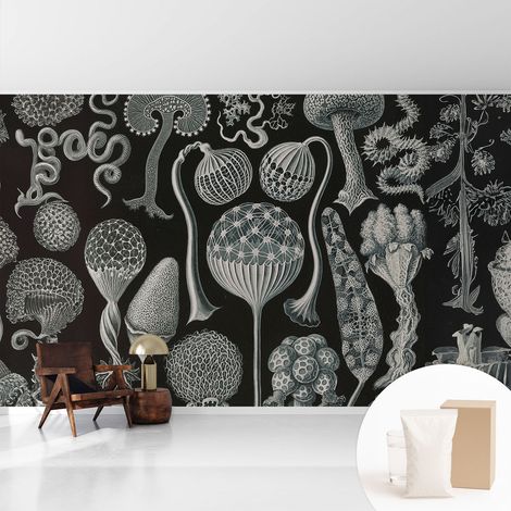 Papier peint intissé pour salon chambre à coucher peint imprimé Installation facile - Colle incluse gratuite Plantes magiques 416x254 cm (1/5)