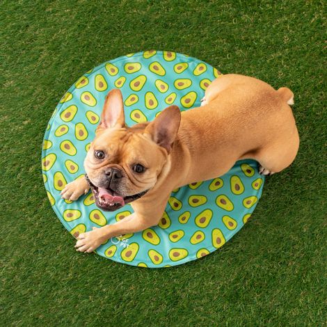 GF Pet Elastofit Runde Kühlmatte für Hunde und Katzen - blau - S/M (1/2)