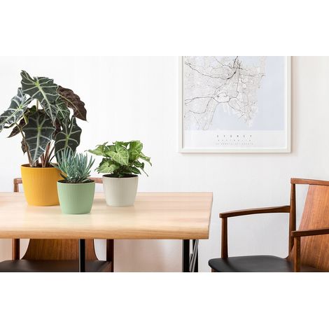 Pot en plastique moutarde 16 cm Magnolia Jumper