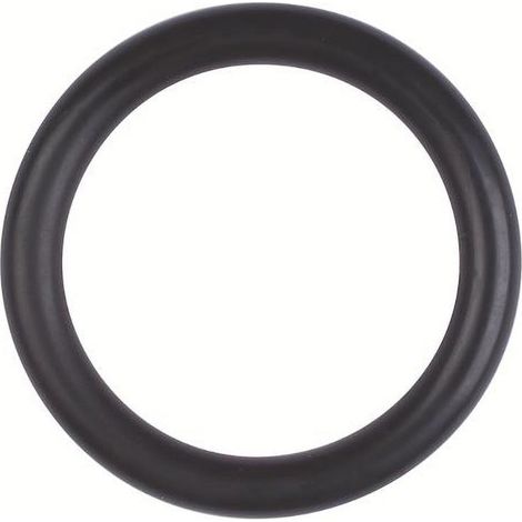Röhm Joint torique, taille 21,82x3,53 - 006252 (1/3)