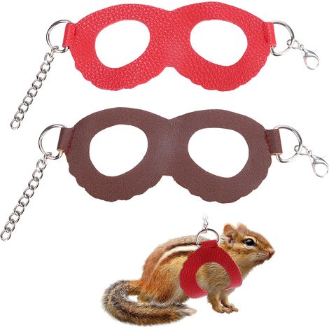 Lot de 2 harnais promenade gilet laisse ensemble pour animal de compagnie extérieur chaton accessoire petit avec déco (1/5)