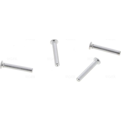 Kit axes de charnières de porte réfrigérateur Liebherr 909621400 Liebherr (1/3)