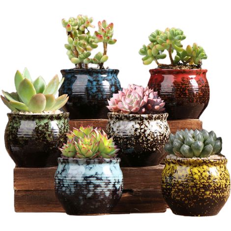 Pots pour plantes succulentes, adorables pots en céramique avec trous de drainage, pots colorés, lot de 6 - Plantes non incluses (1/5)