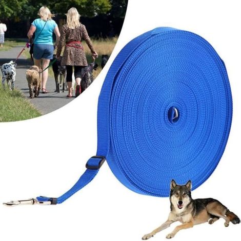 Longue laisse Longe pour chien 20m Sangle de dressage Laisse de dressage Réglable pour chien Idéal Promenade ou arrimage Bleu
