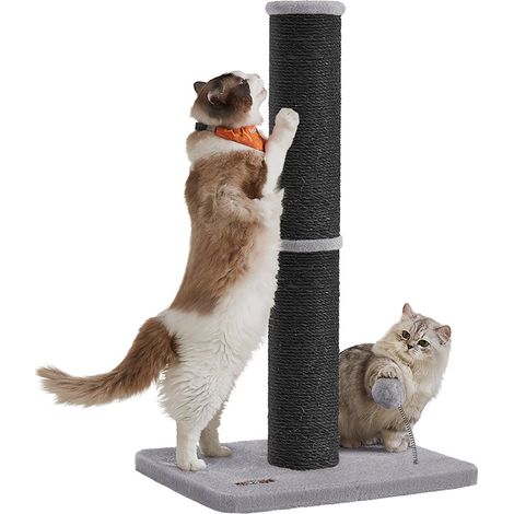 Tiragraffi per gatti alto 85 cm adatto a gatti di taglia media e grande scoraggia i mobili graffianti tiragraffi in sisal con pompon a molla e campanellino grigio tortora 120006007