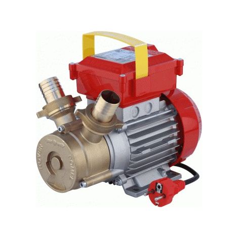 ELETTROPOMPA TRAVASO OTTONE CE ROVER - 35 VOLT 230 WATT 800 LT/H 4500 H.MAX MT 20 MM 35 - 1 pezzo (1/2)