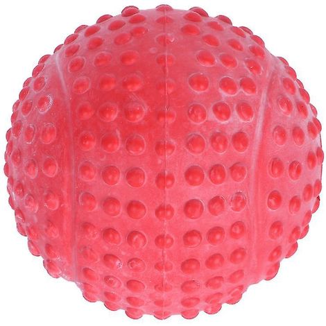 1 balle pour chien