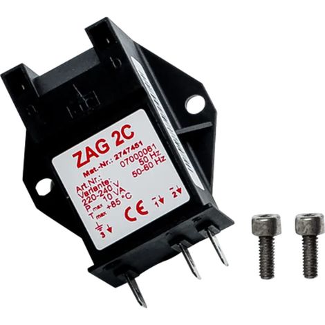 Wolf Transformateur d'allumage 50Hz 2 pôles ZAG 2C pour CGB-2-38/55, 274745199