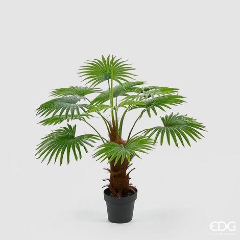 EDG Enzo De Gasperi Palma Cameruys con Vaso Artificiale H 100 Cm Green