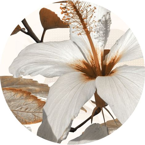 papier peint panoramique rond adhésif tulipe blanc et marron - Sanders & Sanders (1/4)