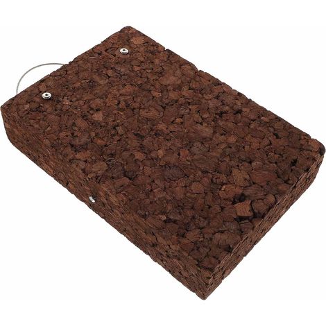 Planche Murale Bois pour Plantes Suspendues Support Cache-Pot Intérieur pour Orchidées et Fougères Économiseur Espace et Décoration Murale Élégante (1/5)