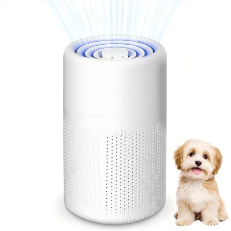 Purificateur d'Air pour Allergiques avec Filtre à Charbon Actif - Portable USB - Filtre HEPA 5W - Silencieux - Pour Poils d'Animaux (1/5)