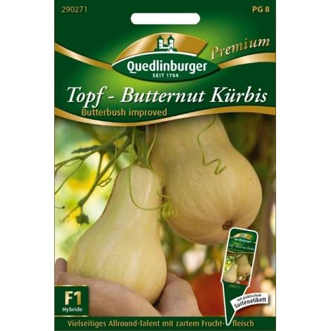 Quedlinburger Topf-Butternut Kürbis Butterbush improved - Gemüsesamen (1/2)