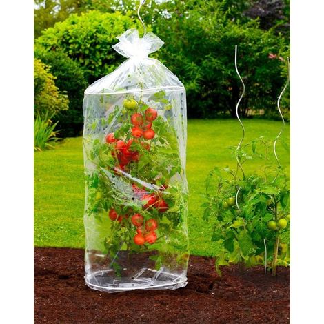 Maximex Tomaten-Haube 2er Set,   40 x 130 cm, Transparent, Polyethylen transparent, Polypropylen wei
