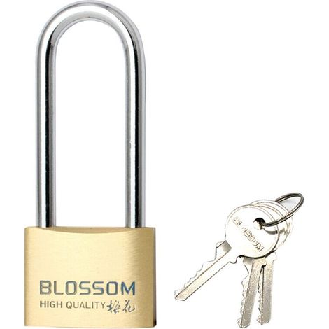 Cadenas À Clé - Cadenas En Laiton Anti-Corrosion Étanche Pour Tiroirs Armoires Coffres Gymnase École Bureau - 1 Pièce (1/5)