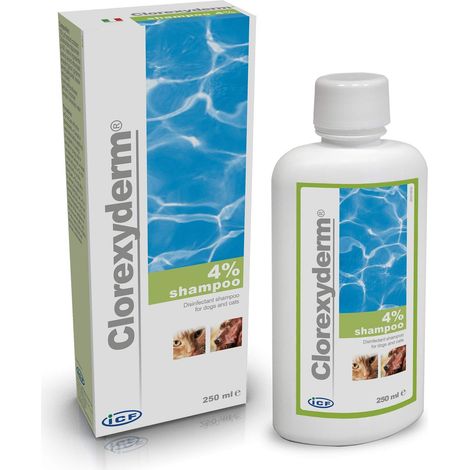 ICF Dog&Cat Clorexyderm Shampoo 4% - Confezione 250 ml - (1/4)