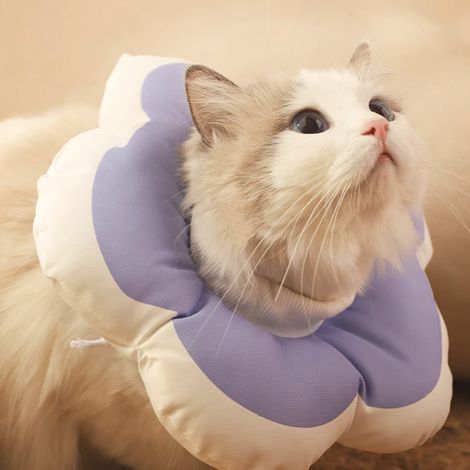 1 collier de convalescence pour chat, souple et ajustable, en tissu imperméable, violet, taille XS/S/M, pour soins post-opératoires et toilettage (1/5)