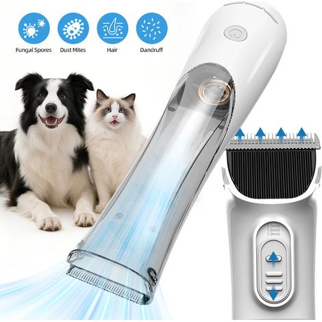 Tondeuse électrique pour animaux domestiques, tondeuse à poils pattes et corps pour chat et chien, coupe-poil professionnel (1/4)