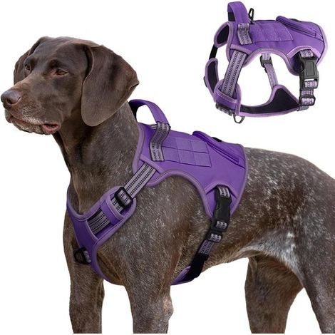 Pettorina tattica per cani di grossa taglia, gilet resistente con barra di controllo e 2 patch, regolabile, riflettente, morbida, imbottita, taglia M (1/5)