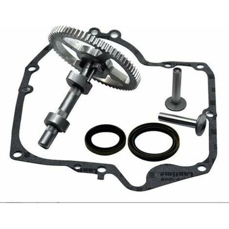 Carburador Árbol de levas Briggs & Stratton 793880 793583 792681 791942 795102 Kit de reemplazo de árbol de levas con sello de aceite 795387 y Ruikalucky 697110 Juntas de cárter LKBD