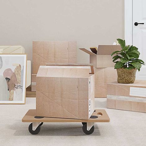 Planches à roulettes, 2 pièces, rectangulaires, en matériau à base de bois