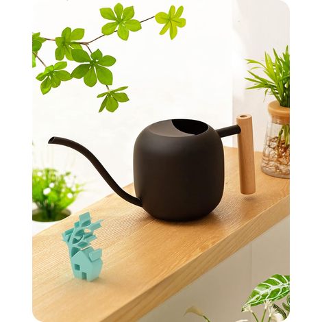 Arrosoir d'intérieur en Acier Inoxydable de 1,2 l avec poignée en Bois, arrosoir de Jardin en métal avec Long Bec pour Petites Plantes et Fleurs (Noir) (1/5)