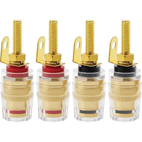 Fiches bananes 4 mm pour haut-parleur amplificateur.