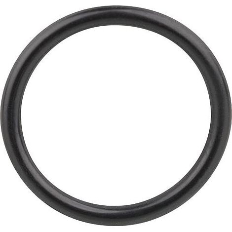 Joint torique 21,89 x 2,62mm