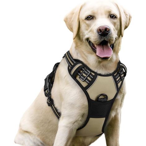 Harnais Chien L Arnais Beige Anti Traction Réfléchissant Gilet Réglable pour Chien, Attache Devant Crochet de Laisse pour Randonnée Trajet Voiture, Bouledogue Français, Berger Australien (1/5)