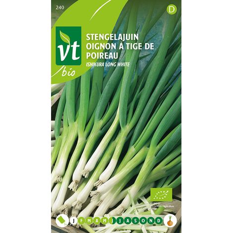Oignon Ishikura long white - Ca. 2 gr (Livraison Gratuite)