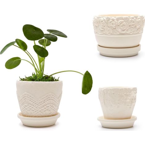 Lot de 3 Pots pour Succulentes, Petit Pots de Fleurs en Ciment, Beige 10+9+8cm, Mini Pots de Fleurs, Avec Soucoupe, Pour Mini-cactus (1/5)