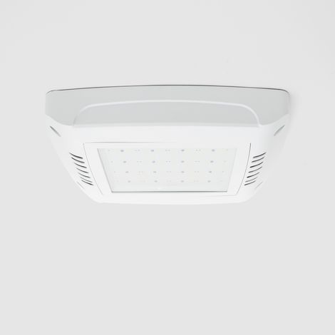 Faretto LED Canopy  Speciale Distributori di Benzina 100W LUMILEDS 150lm/W Driver  Xitanium Regolabile 1-10V Bianco Freddo  5000K (1/5)